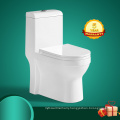 White Dual-Flush Elongated One-Piece Toilet for Adult